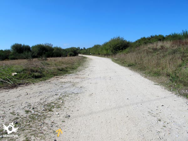 El cambio de paisaje es evidente 