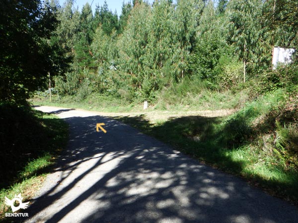 La pista asfaltada nos lleva hasta la localidad