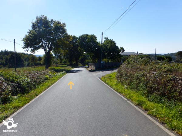 La carretera es ahora la que nos guía hacia Castroverde