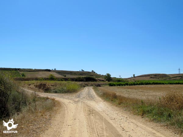 Nos dirigimos a la uve que dibuja la silueta de la loma
