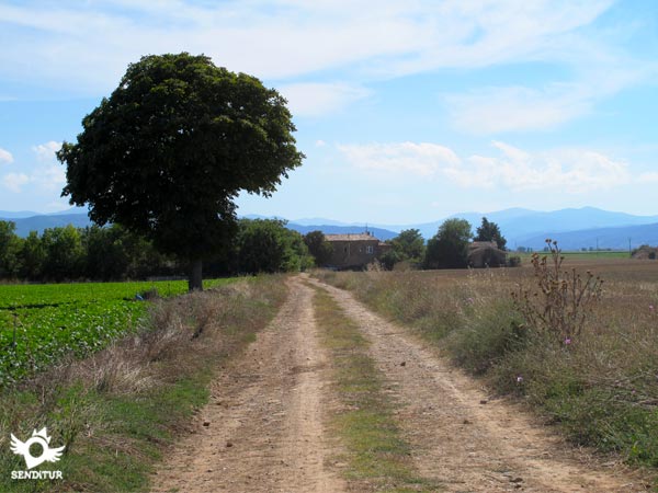 El recto camino nos lleva hasta Madrid de los Trillos
