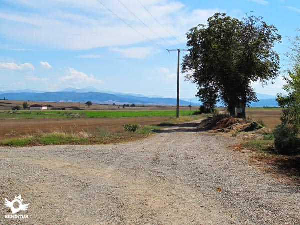 Seguimos por el recto camino