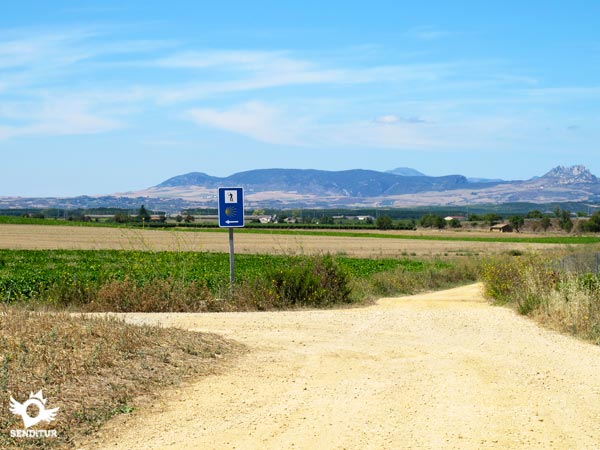 Dejamos la compañia de la autopista