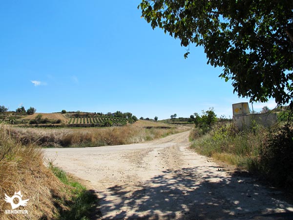 El camino se divide en dos