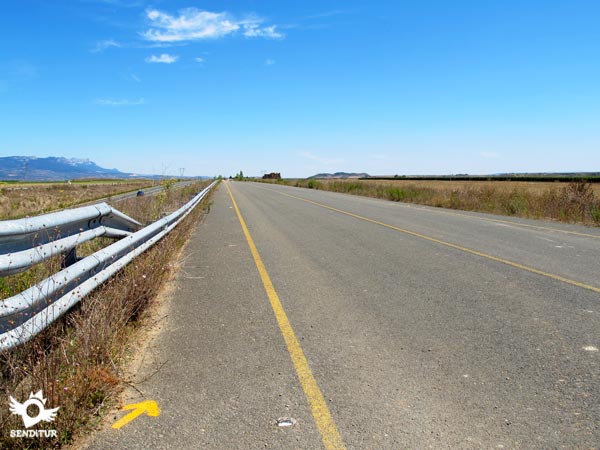 Regresamos en busca del Camino