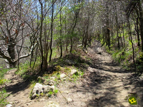 Narrow trails to avoid muddy areas