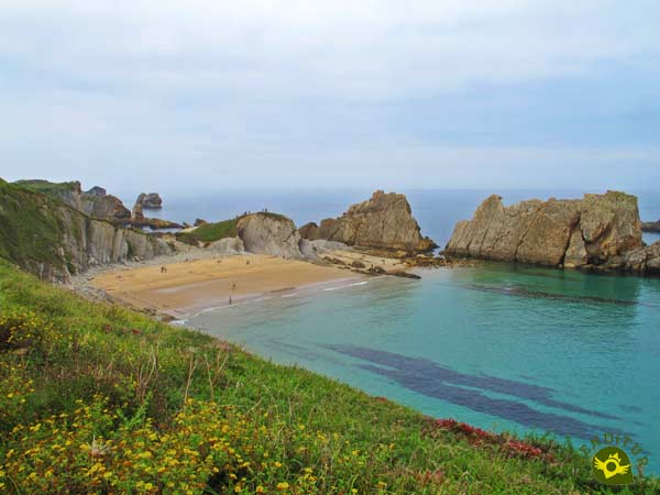 Playa de la Arnía en Cantabria