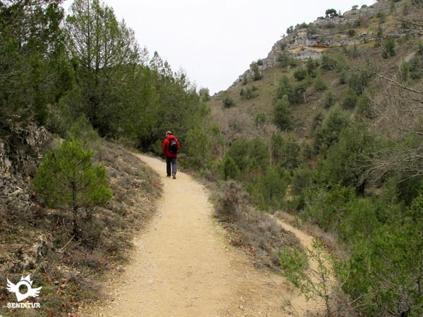 La senda de la derecha baja hasta el río
