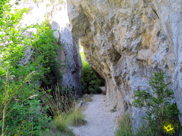 Gorge path
