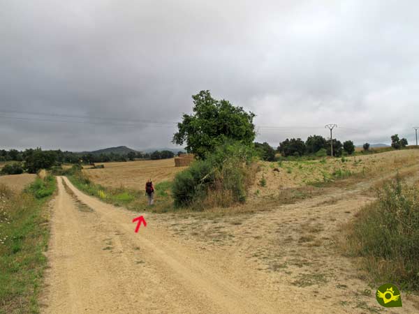 Dejamos el camino principal