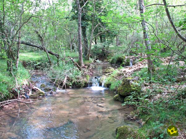 Desfiladero del río Ayuda