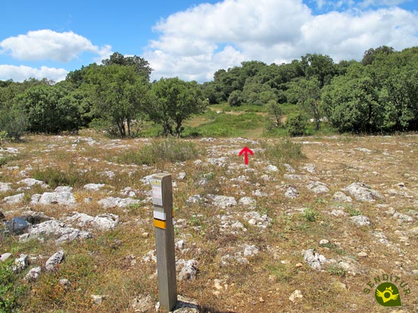 Seguimos al encuentro del sendero