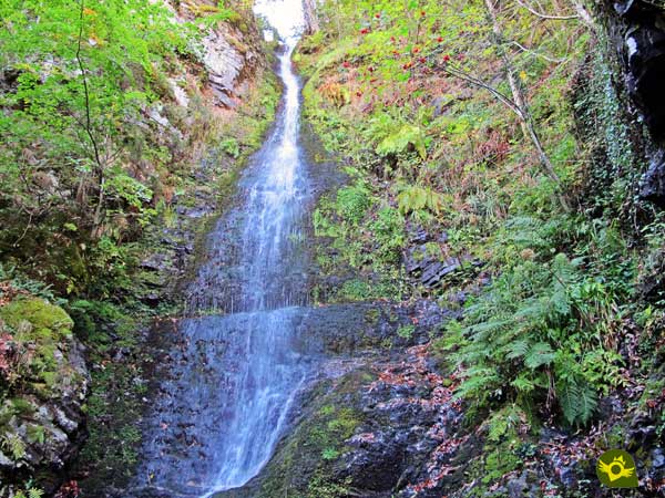 Path of the Waterfalls of Altuzarra 