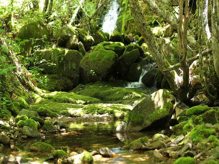 Path Source of the Copper the Birth of the Pisuerga River