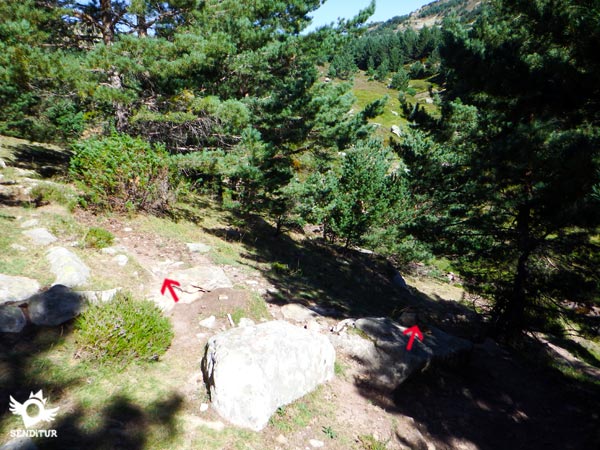 Descendemos hacia el arroyo por alguna de las sendas