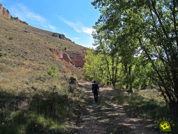 Sin más desvíos el camino nos lleva hasta Tarancueña