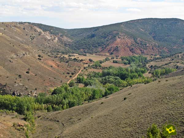 Aerial view of the road to Tarancueña