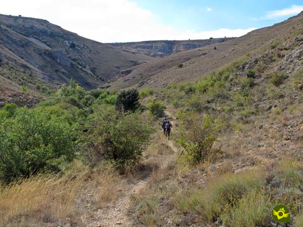 The canyon gains in width