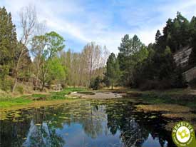 Go to Natural Monument of La Fuentona
