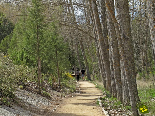 A pleasant walk ahead