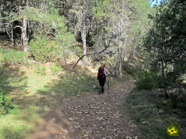 The path is clearly trodden