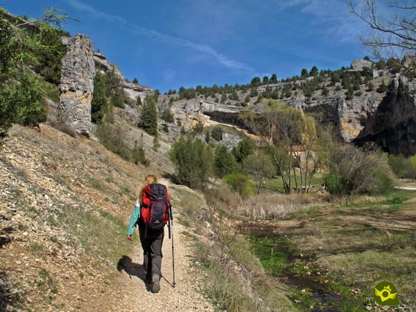 Ir a Parque Natural del Cañón de Río Lobos