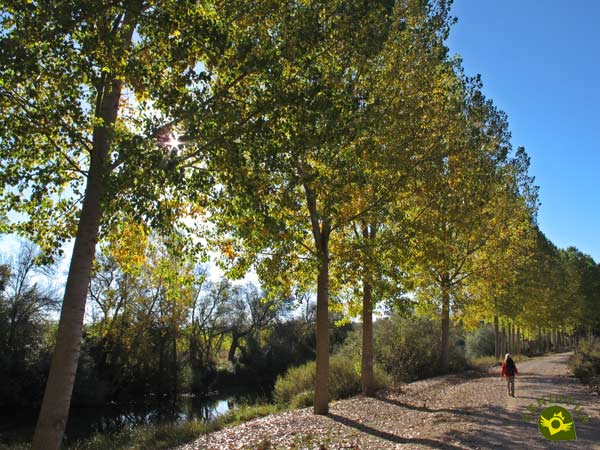 El recorrido no tiene perdida