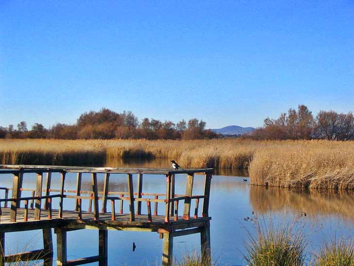 Ruta del Sendero de la Isla del Pan Tablas de Daimiel