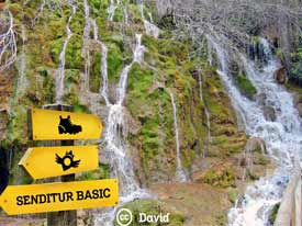 Ir a Sendero del Nacimiento del Río Cuervo