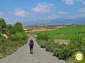 Go to GR 38 Route of the wine and of the fish Section 1 Oyón-Laguardia