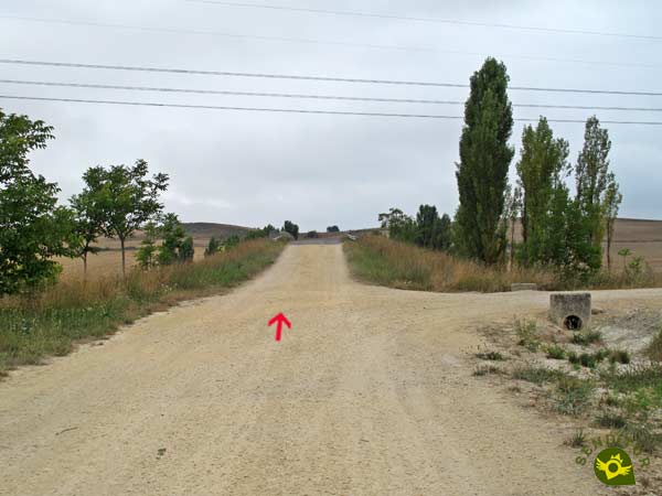 Cruzamos la autopista
