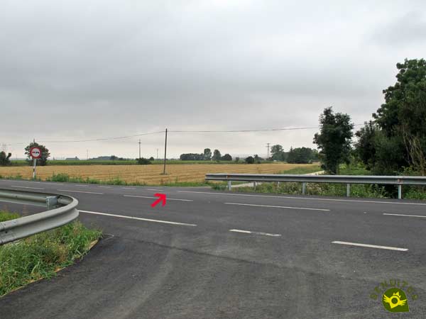 Cruzamos la carretera