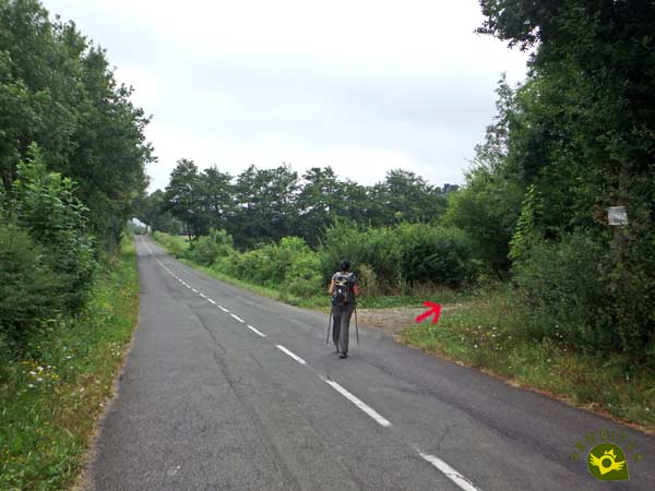 Dejamos la carretera