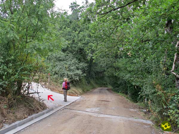 Comienza el verdadero ascenso