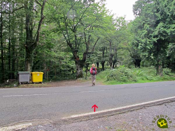 Atravesamos la carretera