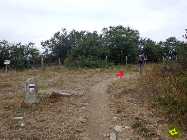 La ruta no tiene perdida