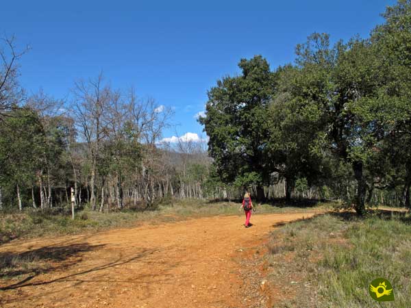 Se nos siguen uniendo más caminos