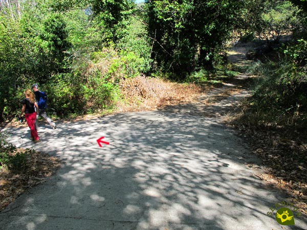 No dejamos la pista de cemento