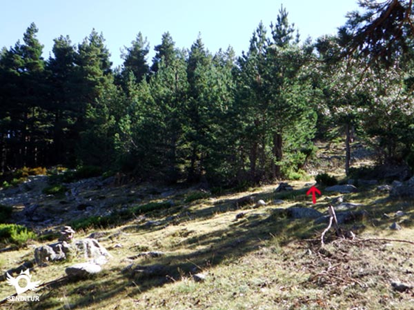 Llegamos al final del cortafuegos