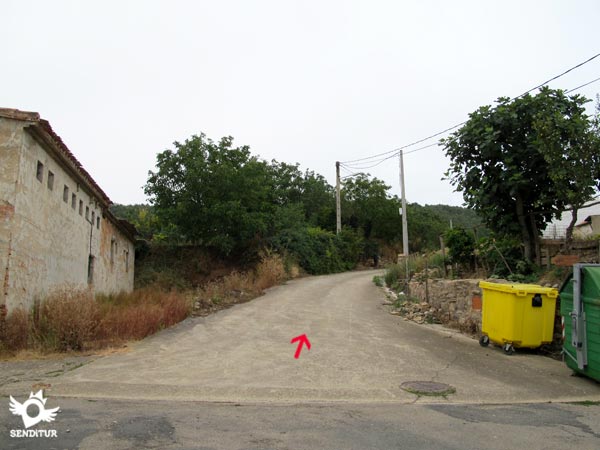 Cruzamos la carretera