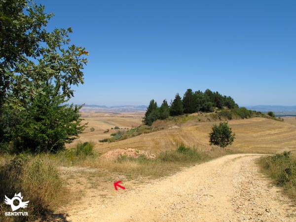 Dejamos la pista de Corporales