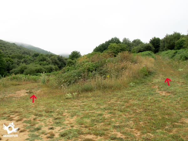 Los dos caminos a elegir 