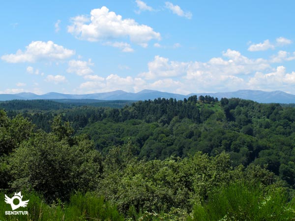 Una de las muchas panorámicas del recorrido