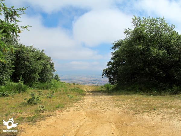 Unos metros más adelante de la cima podremos contemplar Santo Domingo de la Calzada
