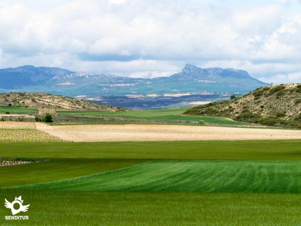 Sierra Cantabria y el León Dormido