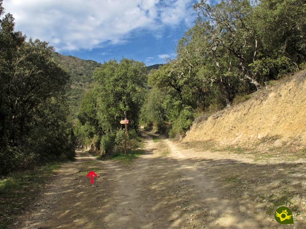 Ahora por el camino de la izquierda