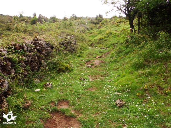 The trail goes up to the pass