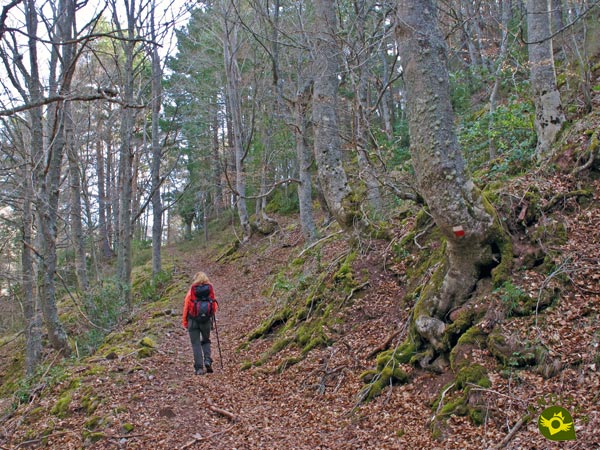 Link GR 93 GR 190 Ortigosa de Cameros-Rock Hincada