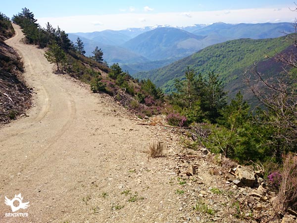 Abandonamos la pista para seguir por la senda
