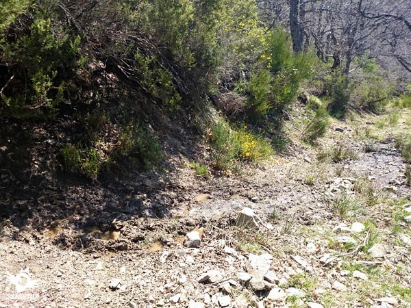 Manantiales en el recorrido